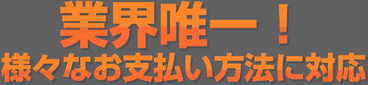 業界唯一 様々なお支払い方法に対応